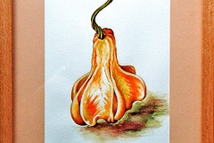 Aquarell_Martin_Haug_09_800px