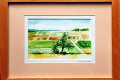 Aquarell_Martin_Haug_21_800px