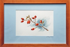 Aquarell_Martin_Haug_28_800px