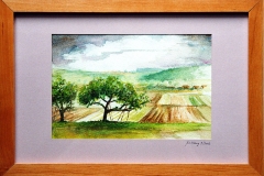 Aquarell_Martin_Haug_29_800px