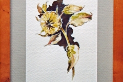 Aquarell_Martin_Haug_32_800px