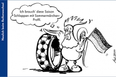 Hahn_Gallo_Cartoon_2010-01.indd