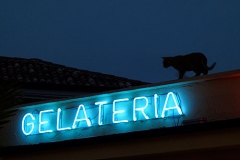 Gelateria_Haug_500px