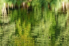 Finsterroter_See_Haug_800px