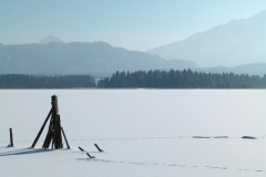 Hopfensee_Haug_800px