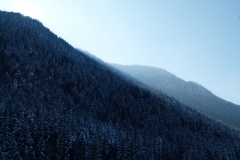 Pfronten_Haug_800px