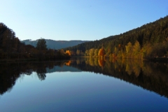 Stausee_Schwarzwald_Haug_800px