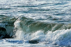 Welle_Haug_800px