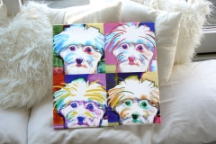 Pico_PopArt_Haug_WEB