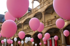 Ballons_AltesSchlossStuttgart_Haug_500px