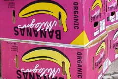Bananen-Kartons_Haug_500px