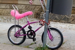 Bonanza_Fahrrad_Haug_500px