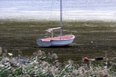 Ebbe01_Haug_500px