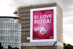 Ei_love_rosa_Haug_500px