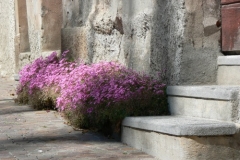 Tessin_Impression_Haug_500px