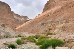 Wadi unterhalb Massadas