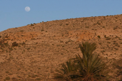 Mond über der Wüste